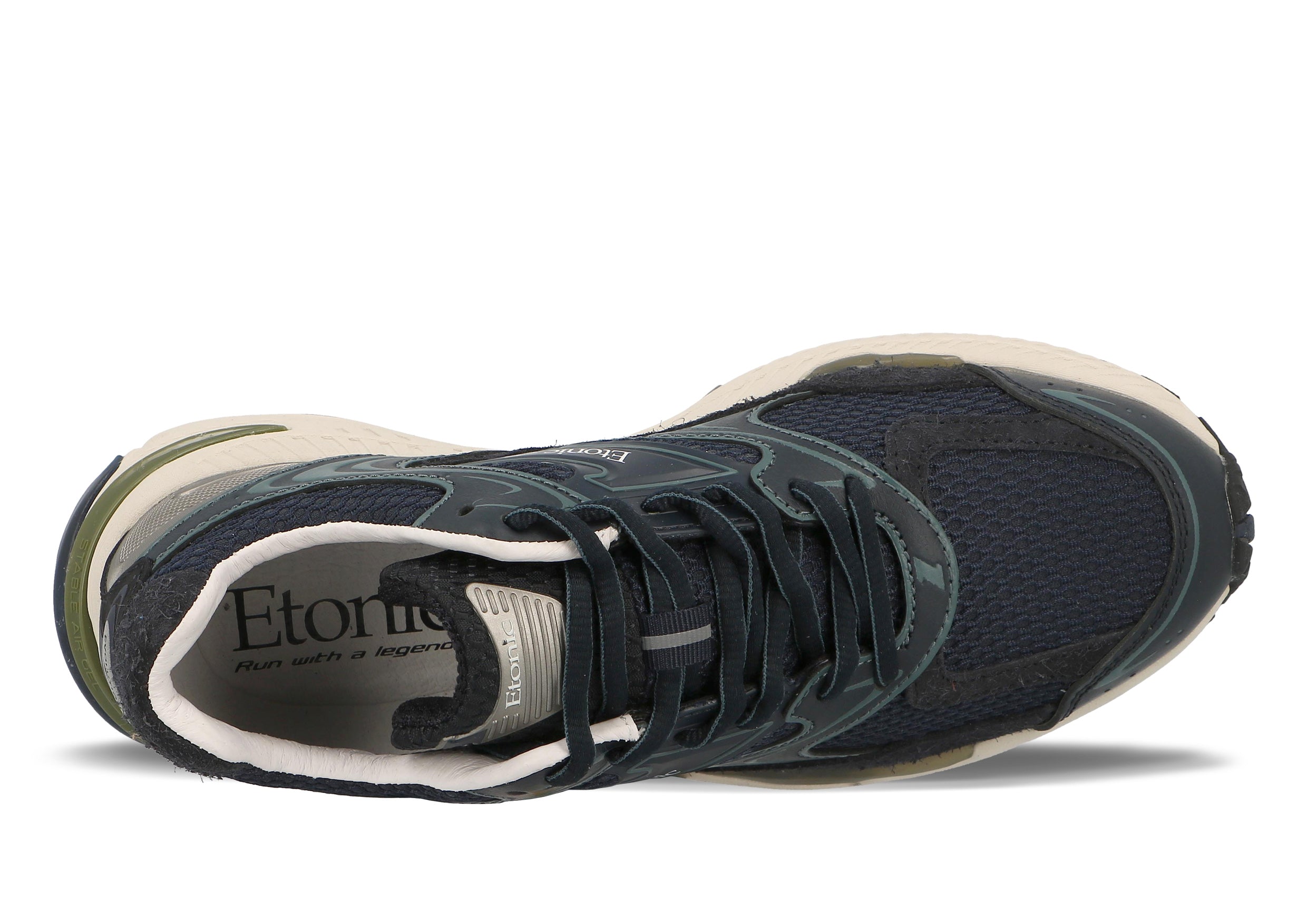 Etonic Evolution Neptune Universe