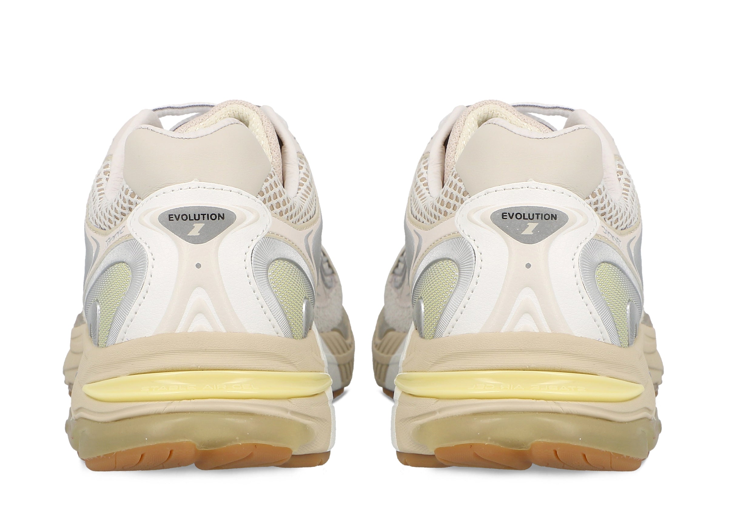 Etonic Evolution Terra Turtledove