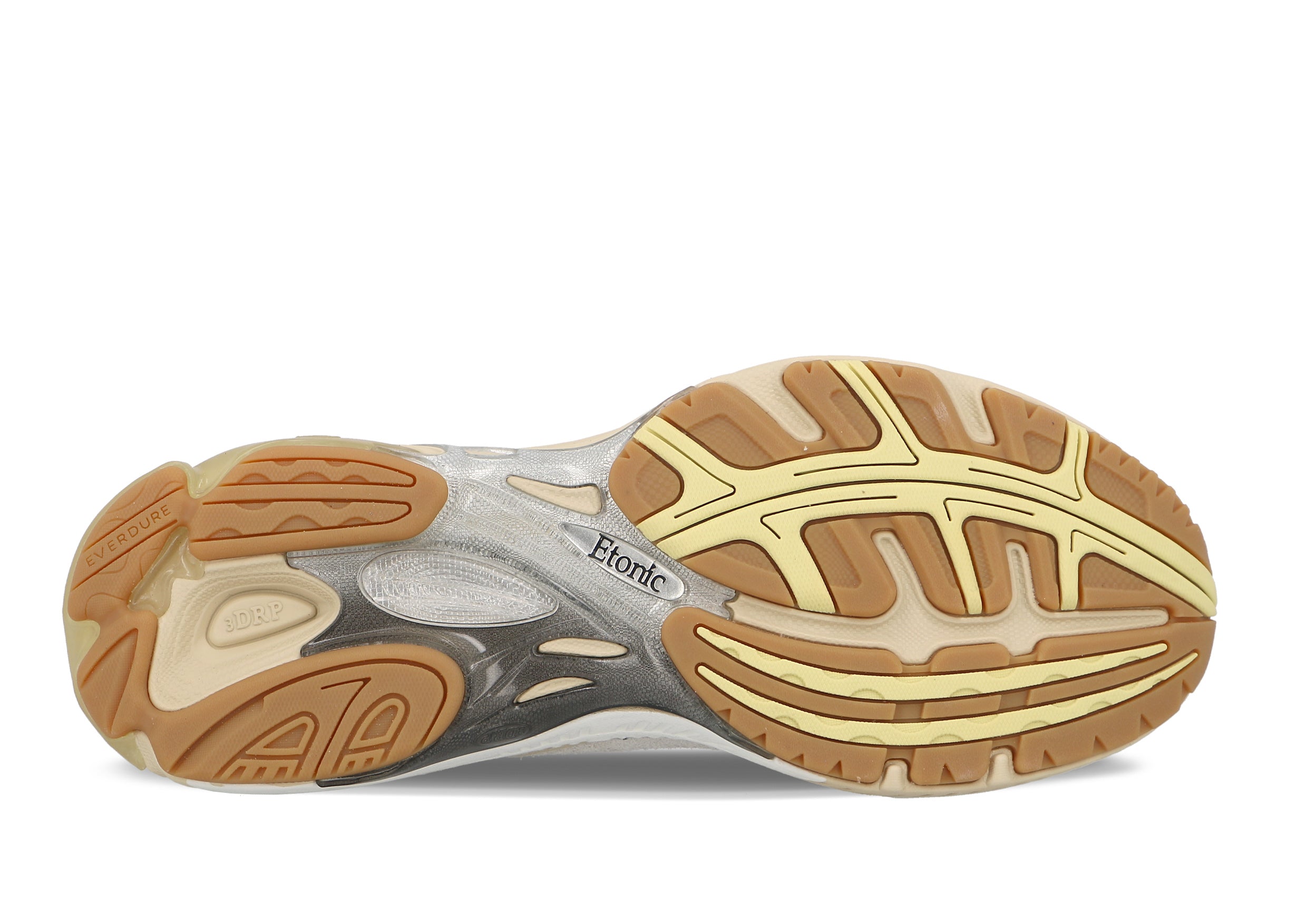 Etonic Evolution Terra Turtledove