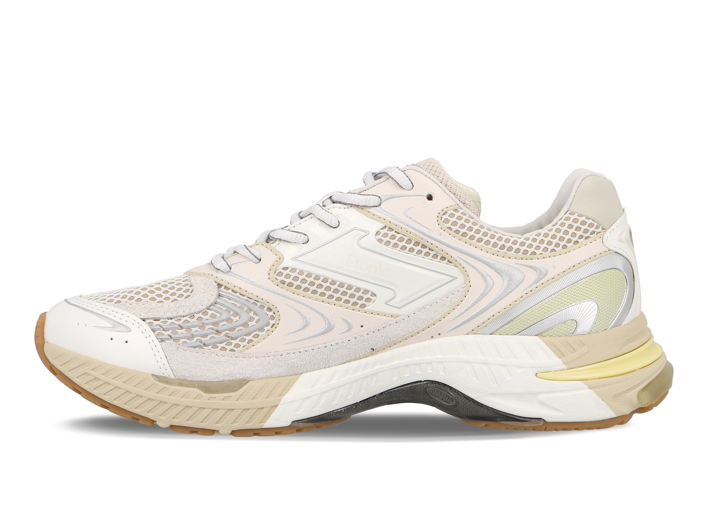 Etonic Evolution Terra Turtledove
