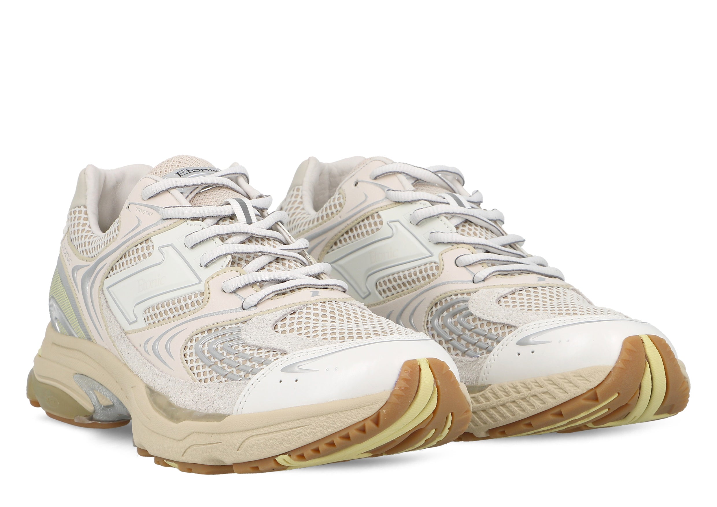 Etonic Evolution Terra Turtledove