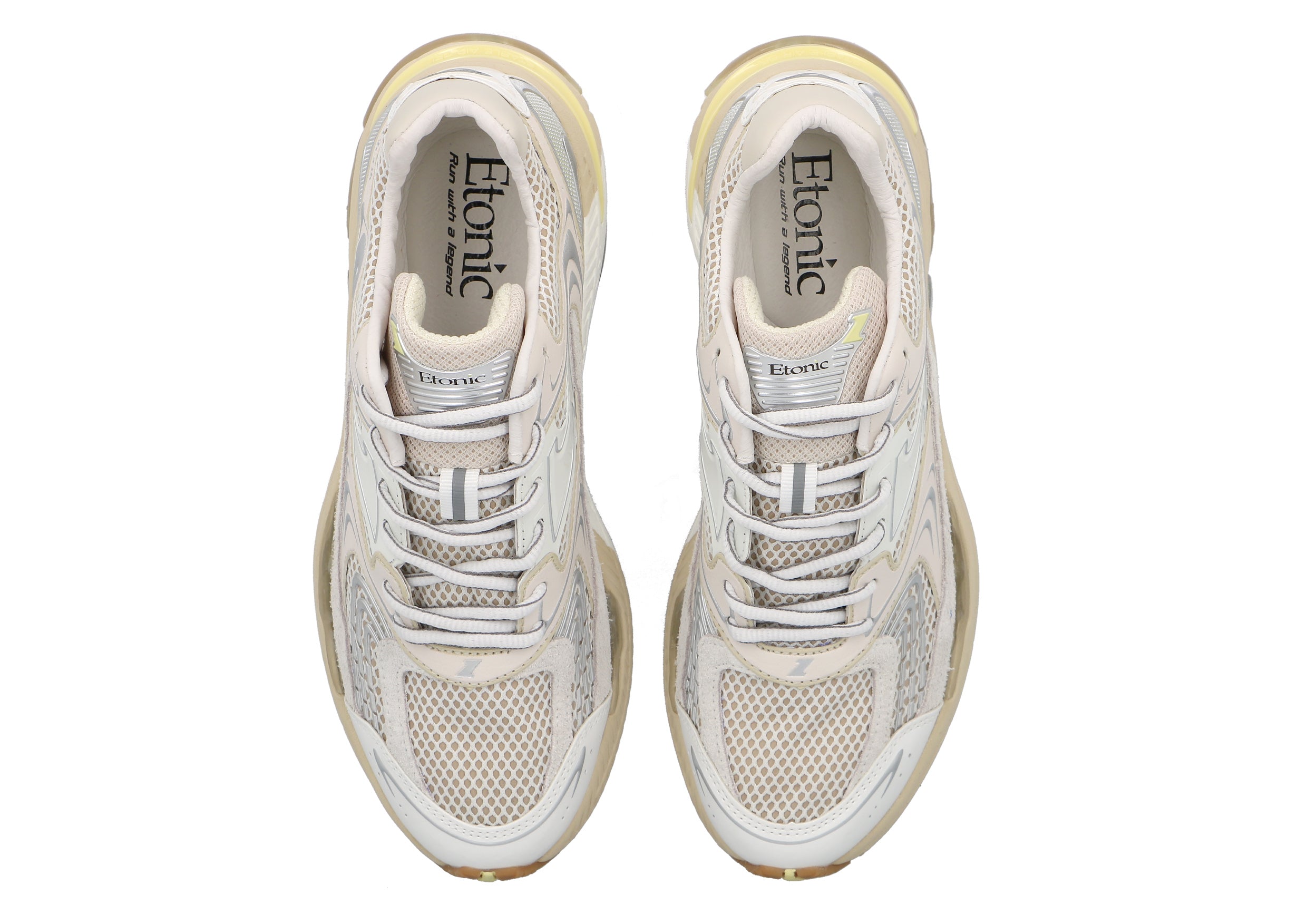 Etonic Evolution Terra Turtledove